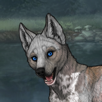 Ashen M  Piebald: Zerdav Headshot