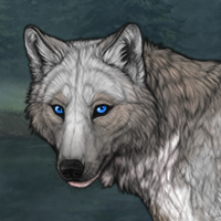 Piebald: Zerdava pup Headshot