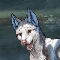 Piebald Frontal M Headshot