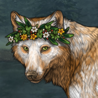 Wolf Headshot