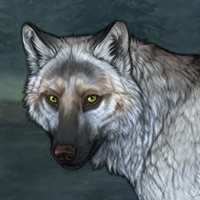 Wolf Headshot