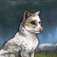 PIEBALD Headshot