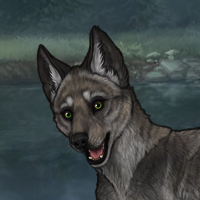 tii 5m g13 holly Headshot
