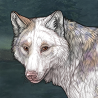 SnowBark Headshot