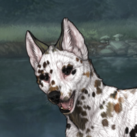 G2 Serpentine Dalmatian Headshot