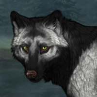 Wolf Headshot