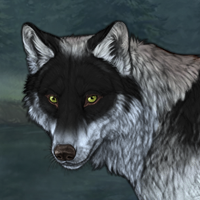 Wolf Headshot