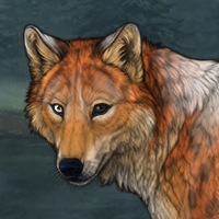 Dog-fox (R) Headshot