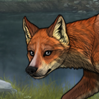 t3 fox Headshot