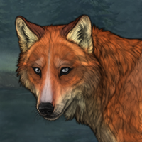 t3 fox Headshot