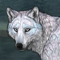 Glacierwing Headshot