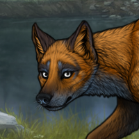 Foxswimmer Headshot