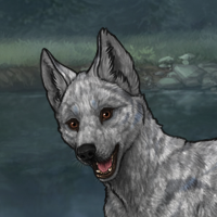 Ashenfur Headshot