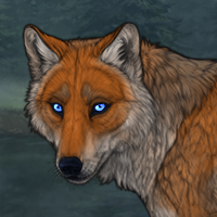 Vulpes A Headshot