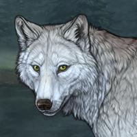 Wolf Headshot