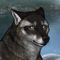 Wolf Headshot