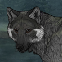 Helstif[Mel wolf] Headshot