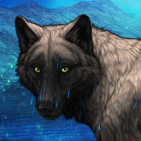 Wolf Headshot