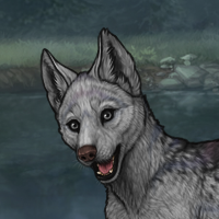 Enclave pup Headshot