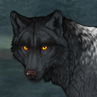 Wolf Headshot