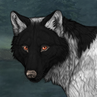 Wolf Headshot