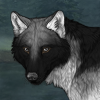 Wolf Headshot