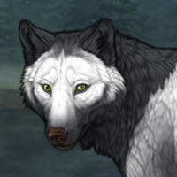 Wolf Headshot