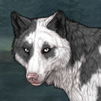 Piebald Torn: Posted Headshot