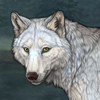 Wolf Headshot