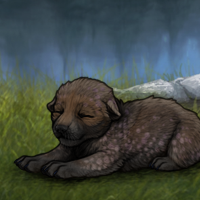 CN Khaos' Acanthite Headshot