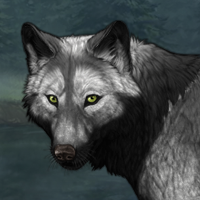 Wolf Headshot