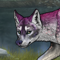 Fenn Headshot