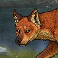 R&C Fox Headshot