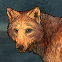 Golden Howl Headshot