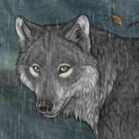 Wolf Headshot