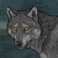 Weavingpelt Headshot