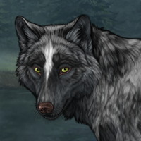 Wolf Headshot