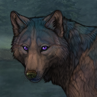 Dark Fawn Indigo Headshot