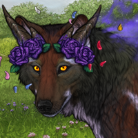 Wolf Headshot