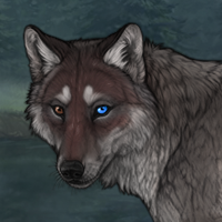 Lupine Darksong Headshot