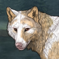 piebald Headshot