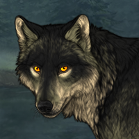 Wolf Headshot