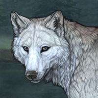 Wolf Headshot