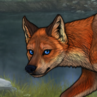 G3 Fox Female Headshot