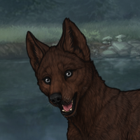 Enclave Pup Headshot