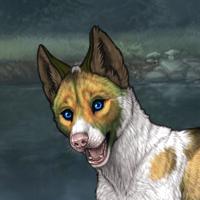 Piebald F Headshot