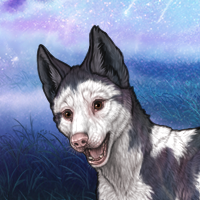 Piebald: Frontal Headshot