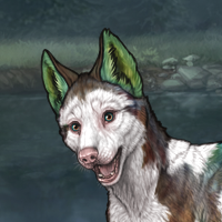 Piebald frontal F Headshot