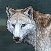 Wolf Headshot