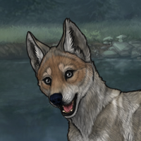 Enclave Puppy Headshot